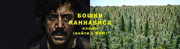 спиды Аркадак