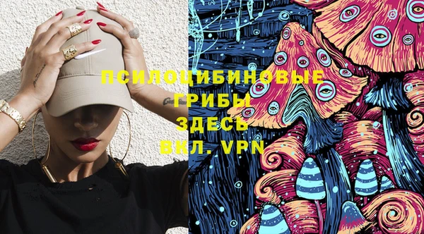 спиды Аркадак