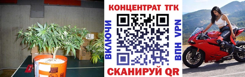 ТГК концентрат Бокситогорск
